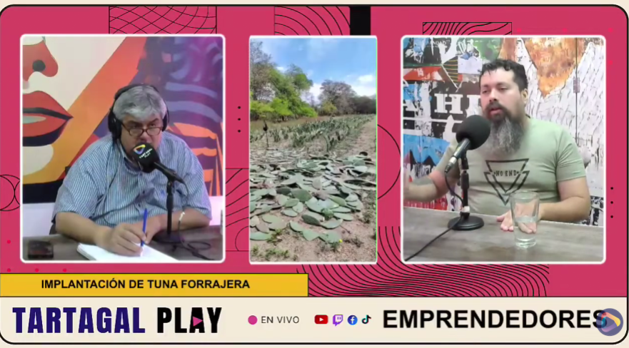 Revolución verde en el norte: cómo la tuna forrajera puede salvar la ganadería en Tartagal y el Chaco salteño Plantación de tuna forrajera en Zanja Honda, Tartagal, impulsada por productores locales como alternativa ganadera.